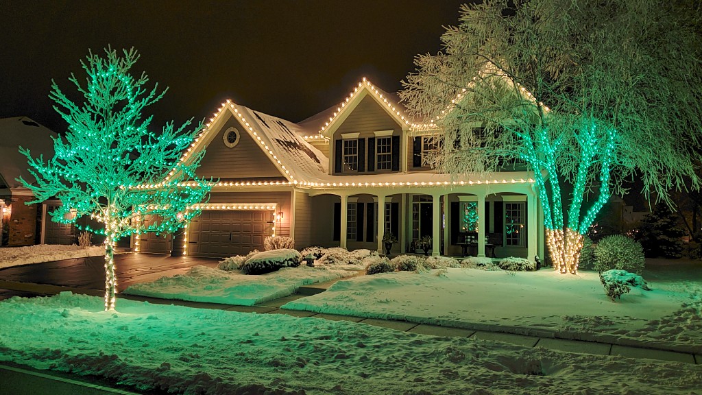 Trees wrapped in warm white and green holiday lights