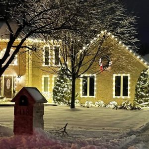 Holiday Lights Warm White 60174